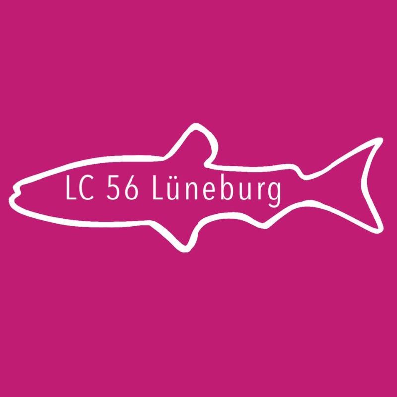 Wir sind dabei! Ladies Circle 56 Lüneburg beim Lüneburger Firmenlauf