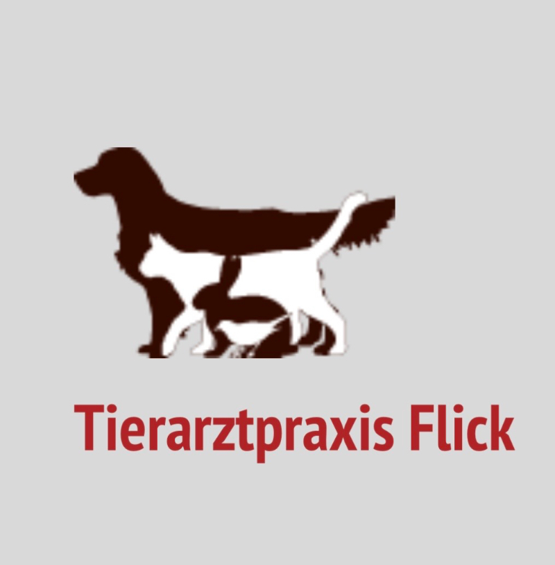 Wir sind dabei! Tierarztpraxis Flick beim Lüneburger Firmenlauf