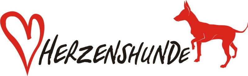 Wir sind dabei! Herzenshunde beim Lüneburger Firmenlauf