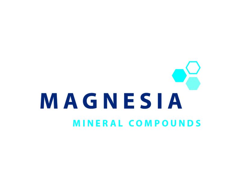 Wir sind dabei! Magnesia GmbH beim Lüneburger Firmenlauf