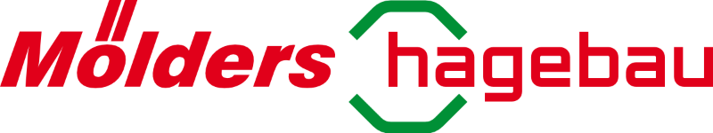 Wir sind dabei! Mölders Holding GmbH beim Lüneburger Firmenlauf