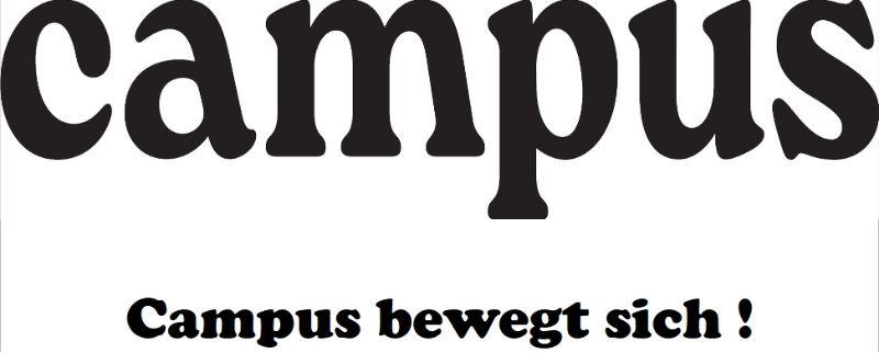 Wir sind dabei! VARIOPAPER GmbH beim Lüneburger Firmenlauf