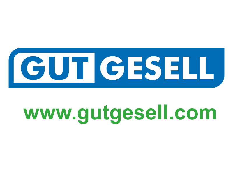 Wir sind dabei! Gutgesell GmbH beim Lüneburger Firmenlauf